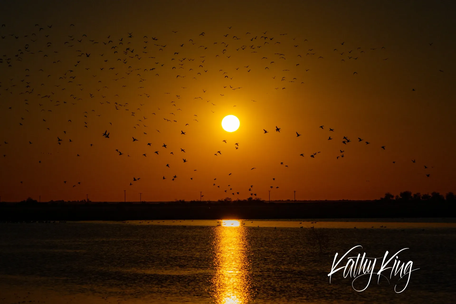 A dramatic sunrise scene captures hundreds of birds in flight silhouetted against a golden sky, their dark forms scattered across the warm amber light above a tranquil lake. The sun creates a brilliant reflection on the water's surface while the birds appear to be engaged in a mass migration, creating a powerful display of nature's seasonal rhythms.